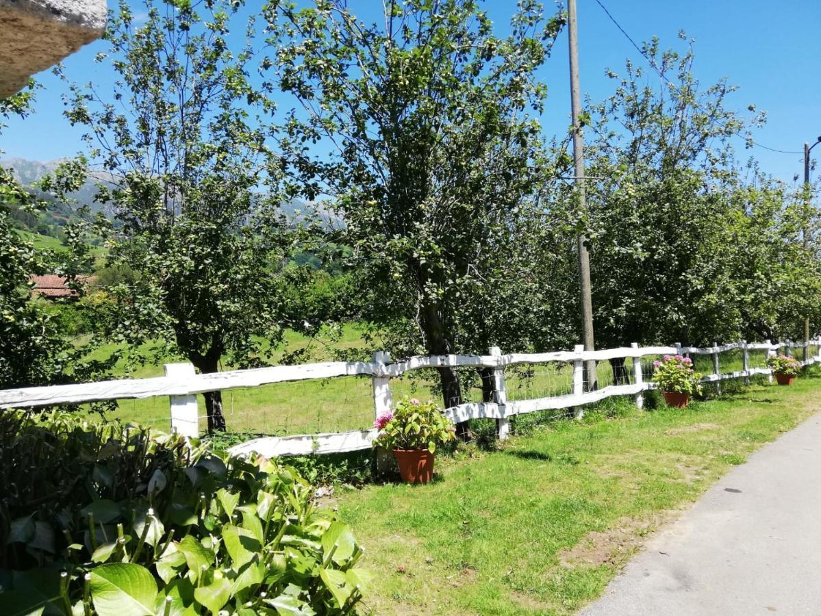 La Casa Nueva Alojamiento Rural Cereceda  Exterior foto
